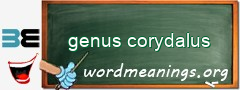 WordMeaning blackboard for genus corydalus
